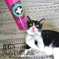 High potency formula delivers bold scent that sparks active play.