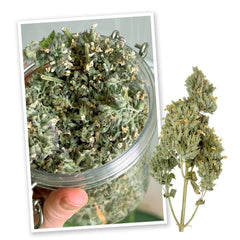 Meowijuana jar on shelf display showing fresh, organic catnip.