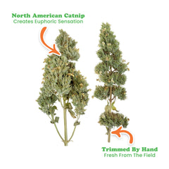 Meowijuana organic catnip leaves closeup highlighting natural aroma.