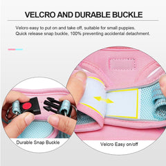 Mercano harness buckle detail highlighting quick-release safety buckle