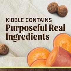 Merrick lamb deboned meat kibble close-up showing high-protein formula.