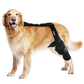 MerryMilo dog knee brace, front view, stabilizes the knee for ACL/CCL support during activities.