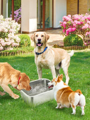 MEWTOGO large breed stainless steel bowl close up rust-proof.