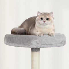 MIAO PAW Sturdy base board keeps the tower steady.