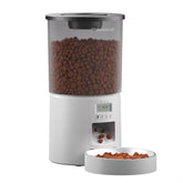 Miaosical automated cat feeder with clear hopper for at-a-glance food monitoring.