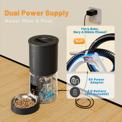 Miaosical cat feeder with 10-second voice reminder cue