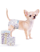 MICOOYO disposable dog diapers female packaging image for convenient protection.