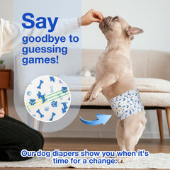 MICOOYO breathable material keeps your dog comfortable all day.