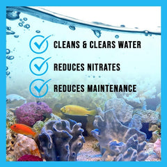 MICROBE-LIFT Special Blend on glass highlights a cleaner aquarium decor after dosing.