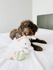 Midlee Easter Bunny Egg Dog Toy Set close-up squeaker, adds engaging sound during games.