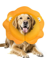 MIDOG inflatable dog cone collar XL protecting neck while allowing eating.