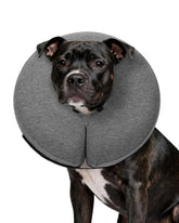 MIDOG inflatable dog cone offers comfortable recovery with full visibility.