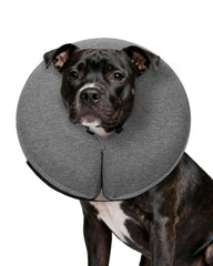 MIDOG inflatable dog cone offers comfortable recovery with full visibility.
