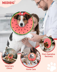 MIDOG secure adjustable fit with inner loops for everyday collars