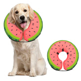 MIDOG soft inflatable dog cone on dog protecting wounds.