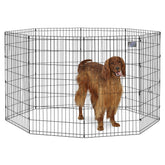 MidWest Homes for Pets 42-inch exercise pen setup with tool-free assembly for easy use