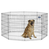 MidWest Homes for Pets exercise pen forming a secure 16 sq ft play area for dogs