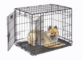 MidWest iCrate 24-inch front view, sturdy metal frame for small breeds.
