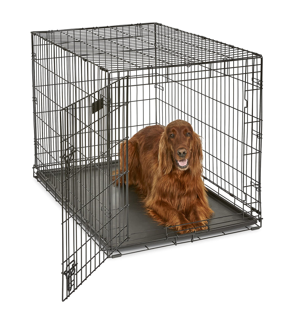 MidWest iCrate 42-Inch dog crate with door open for easy access.