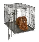 MidWest iCrate 42-Inch dog crate with door open for easy access.