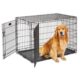 MidWest LifeStages crate front view for large dogs, spacious 42-inch design for comfort.