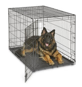 New World crate folds flat for easy travel and storage