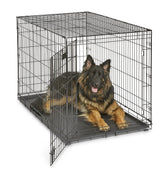 MidWest iCrate 48-inch assembly shows sturdy metal wire and black e-coat finish for durability.
