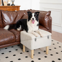 Miemie's Corner anti-slip carpet keeps paws secure on every ascent.