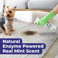 Mighty Mint cleaning on carpets and upholstery removes pet mess