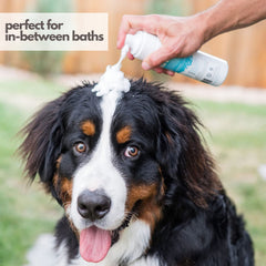 Mighty Mutt Fresh Breeze deodorizes and refreshes the dog's coat between baths.