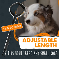 Mighty Paw aviation-grade aluminum carabiner offers strong, durable security for dogs