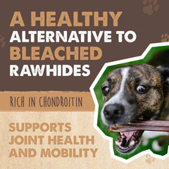 Close-up of Mighty Paw Beef Gullet Stick, natural grain-free chew