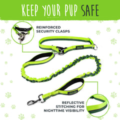 Mighty Paw 4-foot bungee leash for larger dogs' comfortable distance
