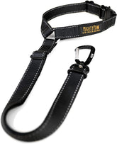 Mighty Paw dog seat belt headrest attachment secures your pup on car rides
