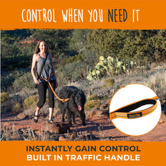 Mighty Paw hands-free leash in park setting supporting comfortable control.