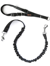 Mighty Paw Hands Free Leash Belt enables smoother hands-free walks.