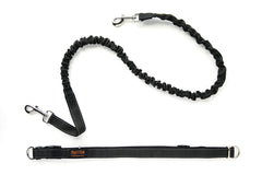 Mighty Paw Hands Free Dog Leash setup showcasing hands-free walking convenience.