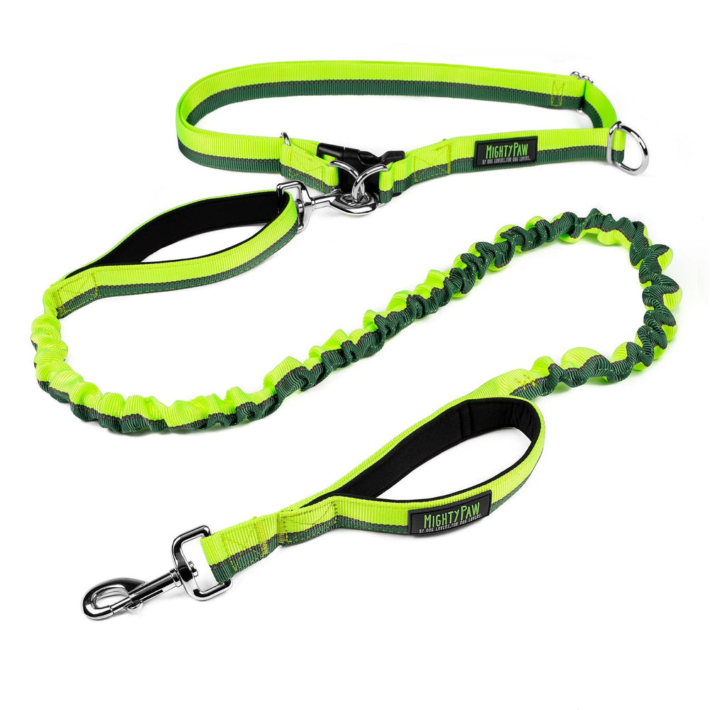 Mighty Paw hands-free leash with waist belt for easy, comfortable dog walking