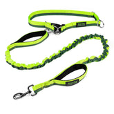 Mighty Paw hands-free leash with waist belt for easy, comfortable dog walking