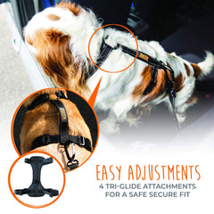 Mighty Paw harness displays durable metal hardware for lasting safety