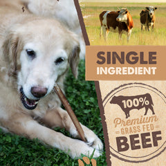 Mighty Paw lower-odor bully stick pictured for dogs with sensitive sniffers