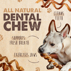 Close-up of Mighty Paw Naturals bully stick texture highlighting natural chew surface.