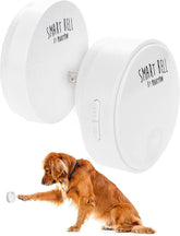Mighty Paw Smart Bell setup on wall for easy potty training.