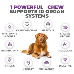 Mighty Petz MAX probiotics 50 million CFU for gut health