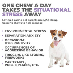 Ingredients list highlights hemp oil and melatonin in Mighty Petz chews.