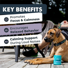 Mighty Paw Calming Chews ingredient label featuring melatonin and chamomile for calm support