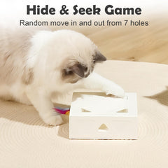 Migibox cardboard box toy with holes invites pawing and exploration.