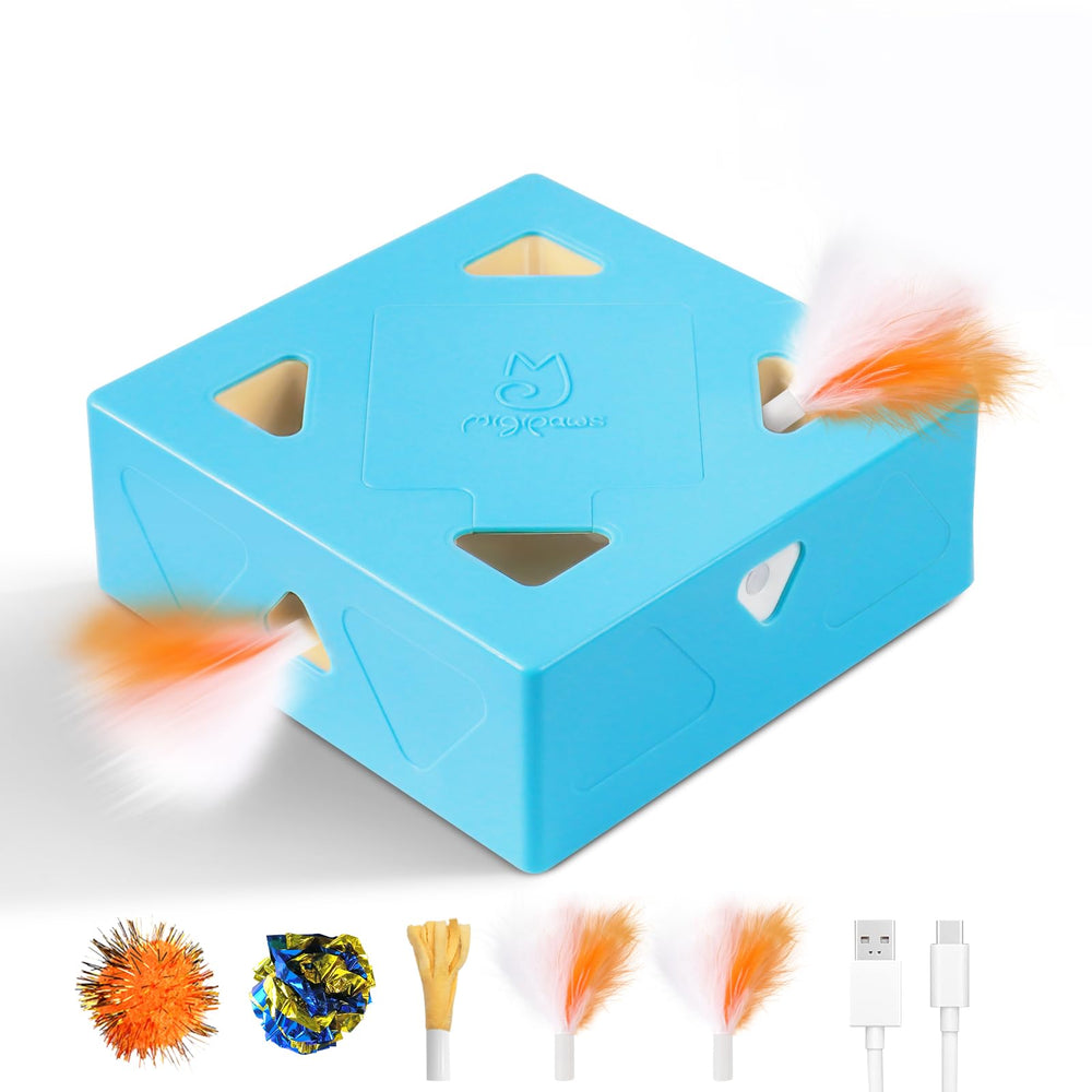 Migipaws Migibox blue front view, engaging indoor cats in interactive play.