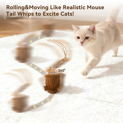 Migipaws MigiMouse tail wiggles during playtime.