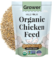 Mile Four organic whole grain feed, visualized to support healthy flock activity and egg production.